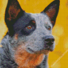 Australian Cattle Dog Outdoors Diamond Paintings