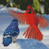 Cardinal And Blue Jay Birds Diamond Paintings