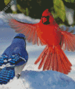 Cardinal And Blue Jay Birds Diamond Paintings