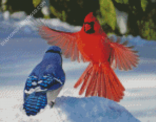 Cardinal And Blue Jay Birds Diamond Paintings