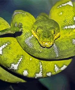 Emerald Tree Boa Diamond Paintings