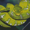 Emerald Tree Boa Diamond Paintings