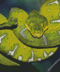 Emerald Tree Boa Diamond Paintings