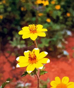 Ethiopian Flowers Diamond Paintings