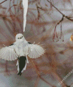 Flying Long Tailed Tit Diamond Paintings