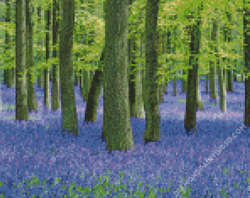 Forest With Bluebells Diamond Paintings