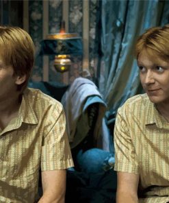 Fred And George Weasley Characters Diamond Paintings