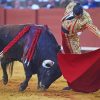 Matador And Bull Fight Diamond Paintings