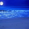 Moon and Ocean Diamond Paintings
