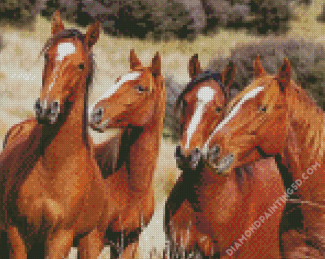 Native Brown Horses Diamond Paintings