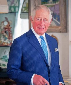 Prince Of Wales Charles Diamond Paintings