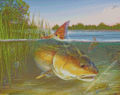 Redfish Drum Diamond Paintings