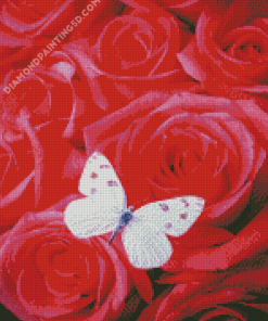 White Butterfly Rose Diamond Paintings
