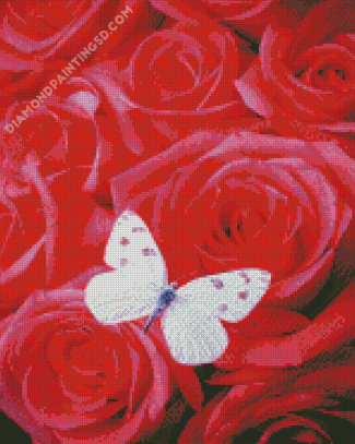 White Butterfly Rose Diamond Paintings
