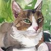 Abstract White Brown Cat Diamond Paintings