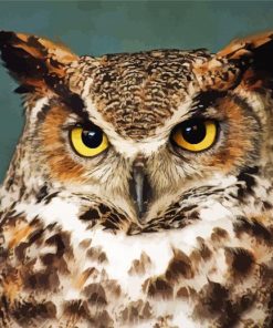 aesthetic Horned Owl Bird Diamond Paintings