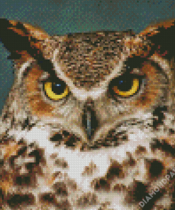 aesthetic Horned Owl Bird Diamond Paintings
