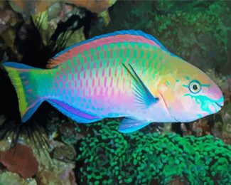 Aesthetic Parrot Fish Art Diamond Paintings