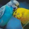 Aesthetic Parakeets Diamond Paintings