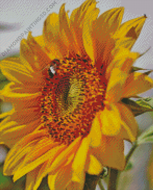 Beautiful Sunflower And Bee Diamond Paintings