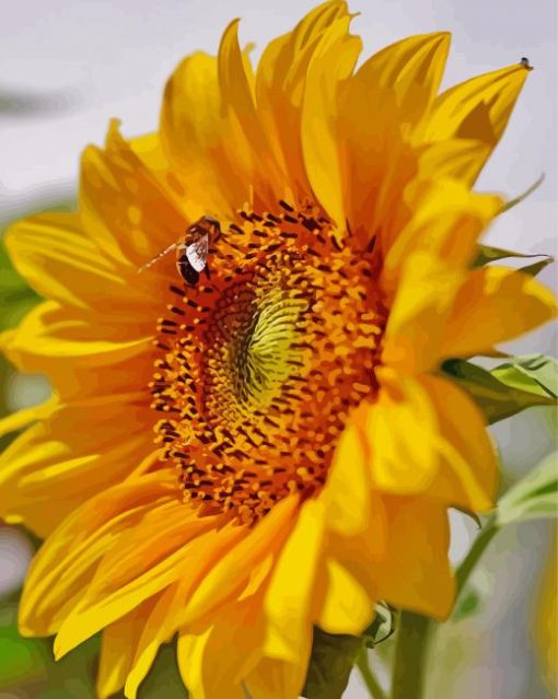 Beautiful Sunflower And Bee Diamond Paintings
