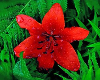Beautiful Red Lily Diamond Paintings