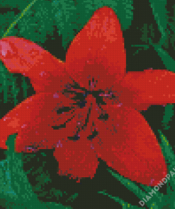 Beautiful Red Lily Diamond Paintings