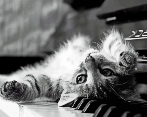 Black And White Cat And Piano Diamond Paintings