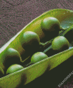 Close Up Peas In A Pod Diamond Paintings