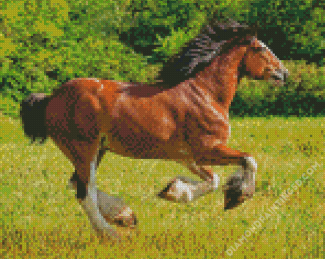Clydesdale Horse Running Diamond Paintings