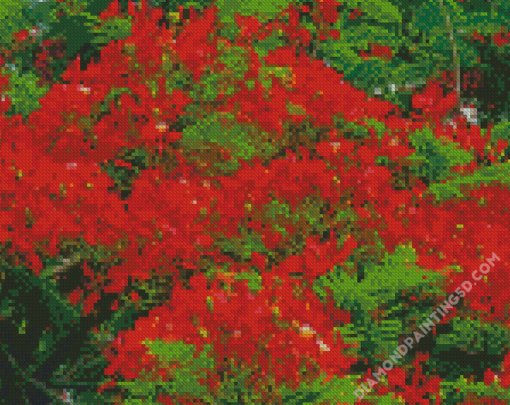 Red Flamboyant Tree Diamond Paintings