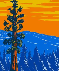 Sequoia National Park Poster Diamond Paintings