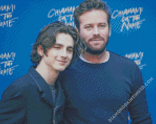 Timothee Chalamet and Armie Hammer Diamond Paintings