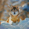 Wolf In The Snow Diamond Paintings