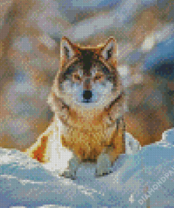 Wolf In The Snow Diamond Paintings