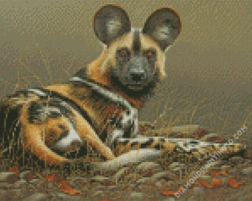 African Hunting Dog Diamond Paintings