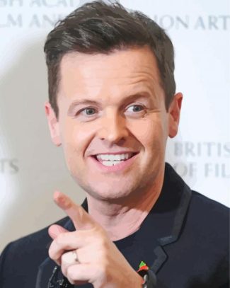 Declan Donnelly presenter Diamond Paintings
