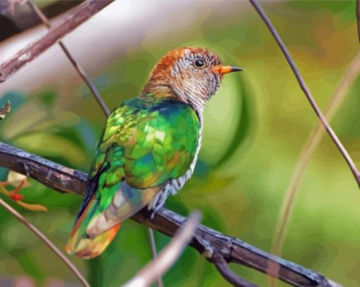 Green Asian Emerald Cuckoo Diamond Paintings