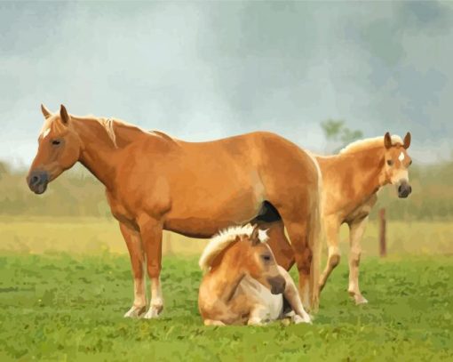 Haflinger Horses Diamond Paintings