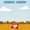Moonrise Kingdom Movie Poster Art Diamond Paintings