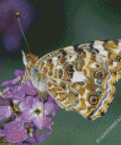 Painted Lady Insect Diamond Paintings