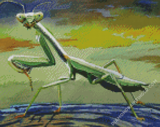 Praying Mantis Art Diamond Paintings