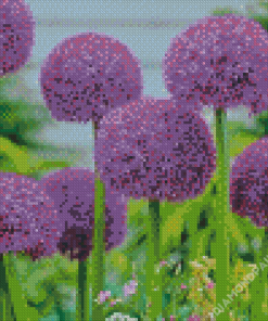 Purple Allium Flowers Diamond Paintings