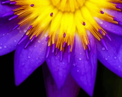 Purple Yellow Flower Diamond Paintings