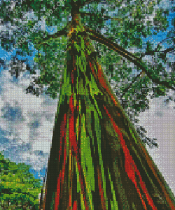 Rainbow Eucalyptus Tree Diamond Paintings