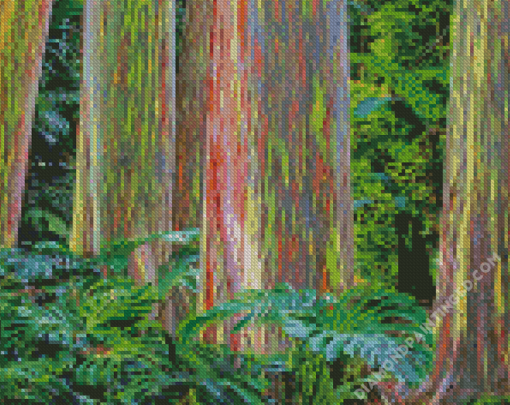 Rainbow Eucalyptus Trees Diamond Paintings