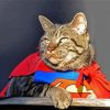 Superhero Cat Diamond Paintings