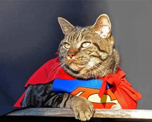 Superhero Cat Diamond Paintings