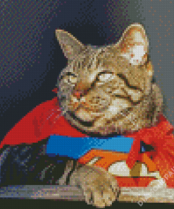Superhero Cat Diamond Paintings