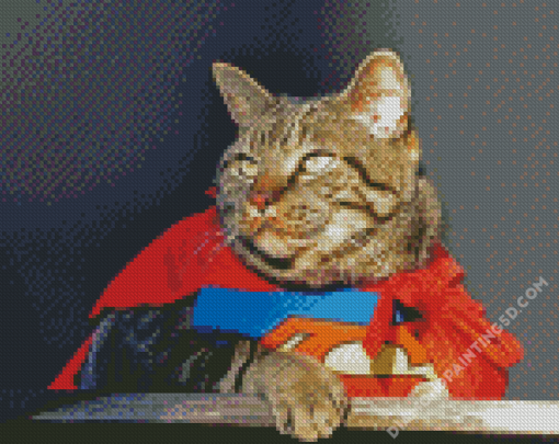 Superhero Cat Diamond Paintings